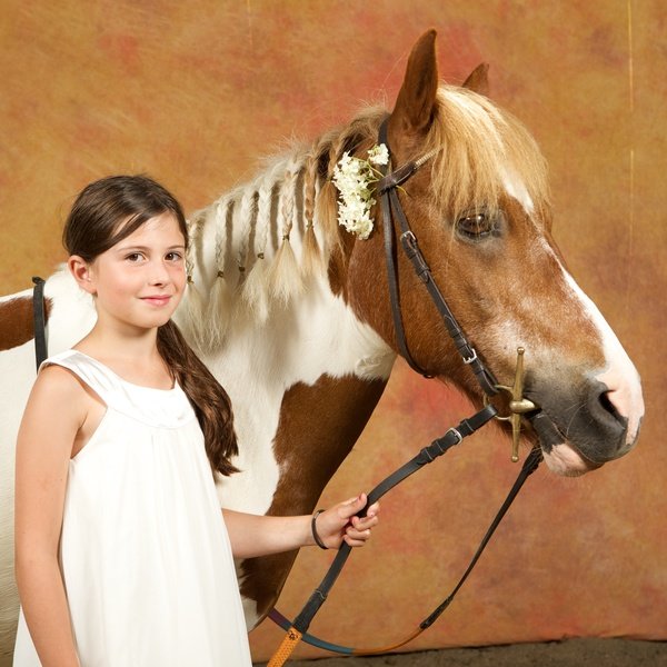 Écurie du Val - Poneys et Chevaux - Poney "Derby"