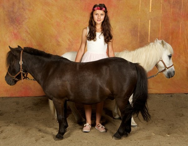 Écurie du Val - Poneys et Chevaux - Poneys "Grisou et Prince"