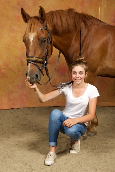 Écurie du Val - Poneys et Chevaux - Cheval "Ringo"